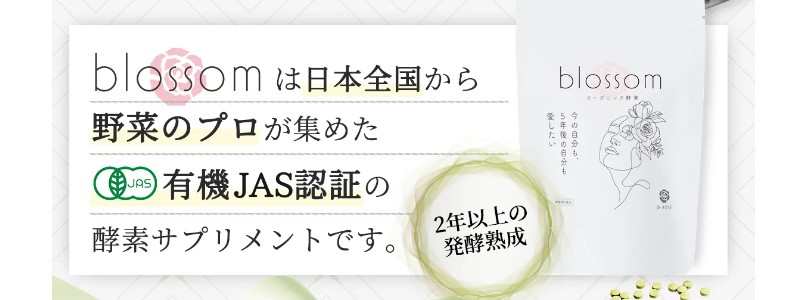 ���Y�L�@�H�i�݂̂��g�p�����L�@�y�f�T�v���y�u���b�T���z���T�C�g